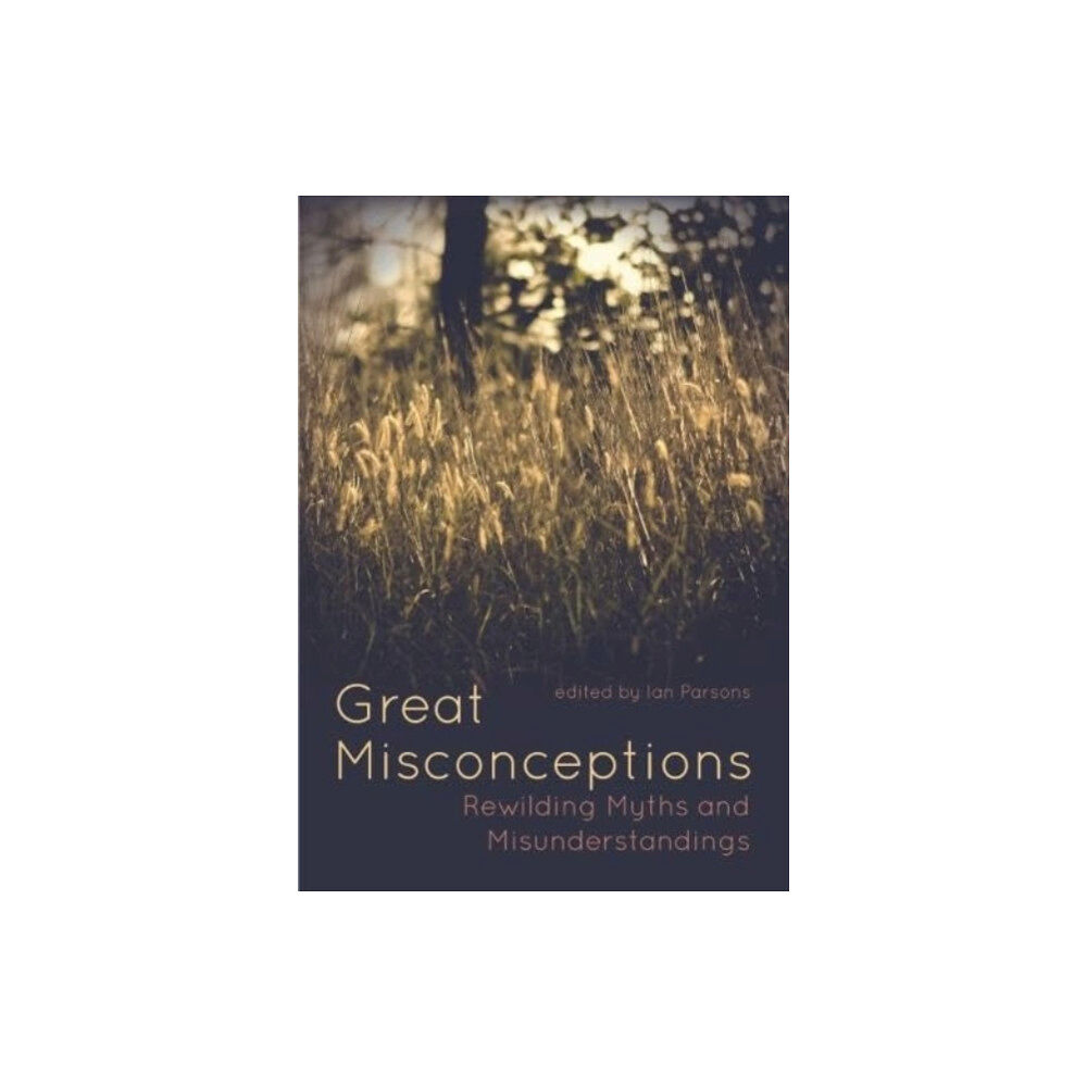 Porto Press Ltd Great Misconceptions (häftad, eng)