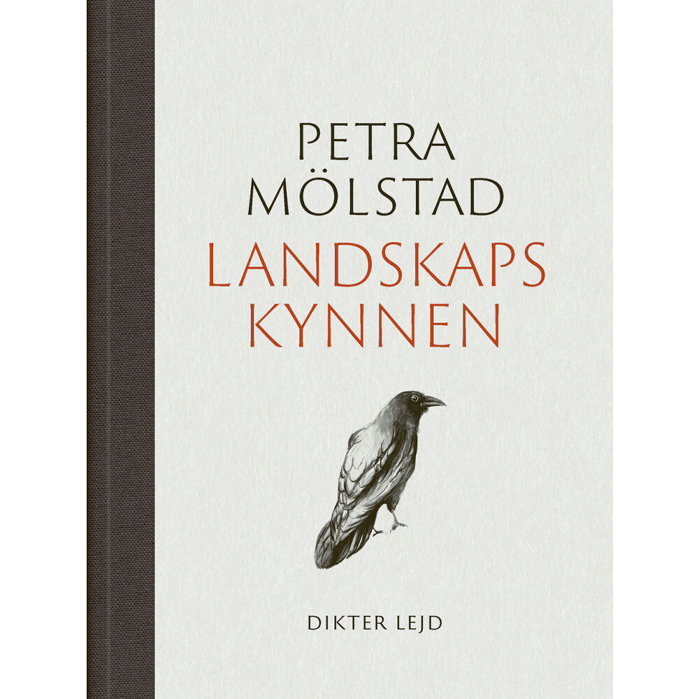 Petra Mölstad Landskapskynnen (bok, halvklotband)