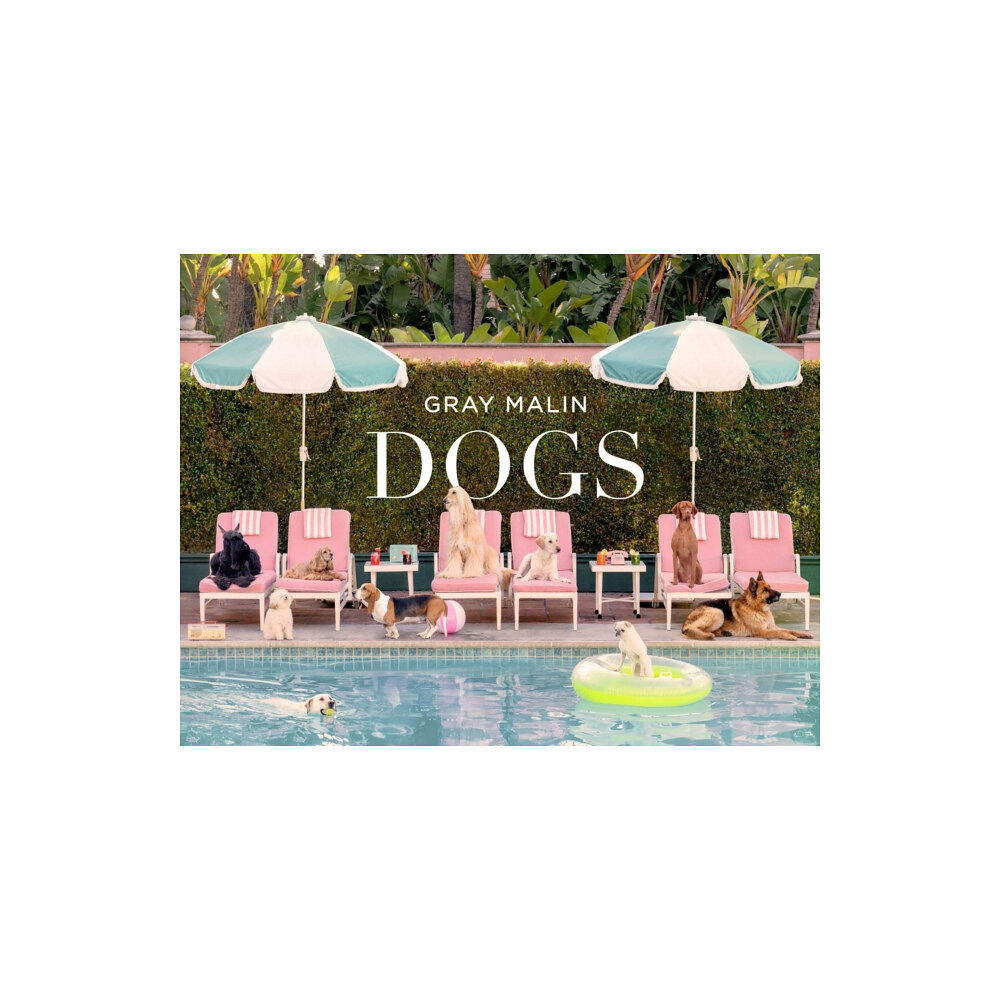 Abrams Gray Malin: Dogs (inbunden, eng)