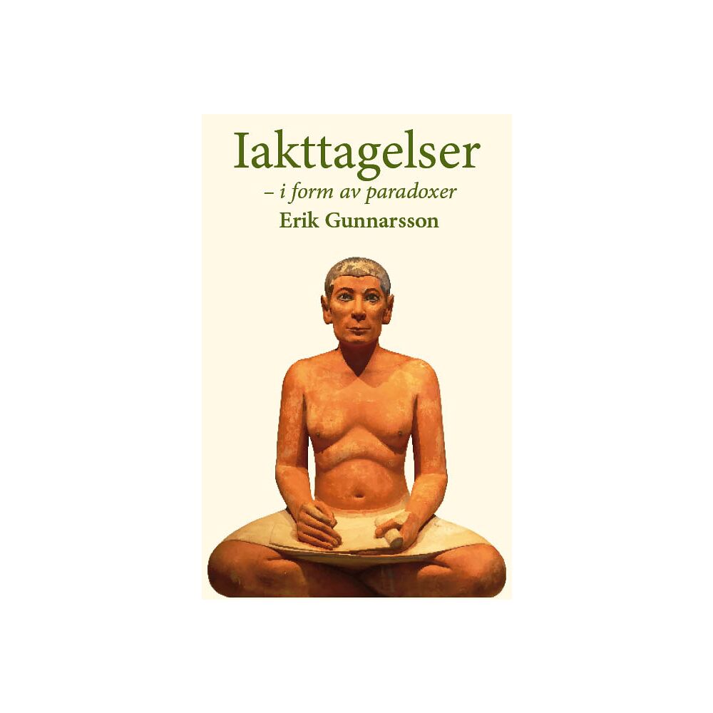 Erik Gunnarsson Iakttagelser - i form av paradoxer (häftad)