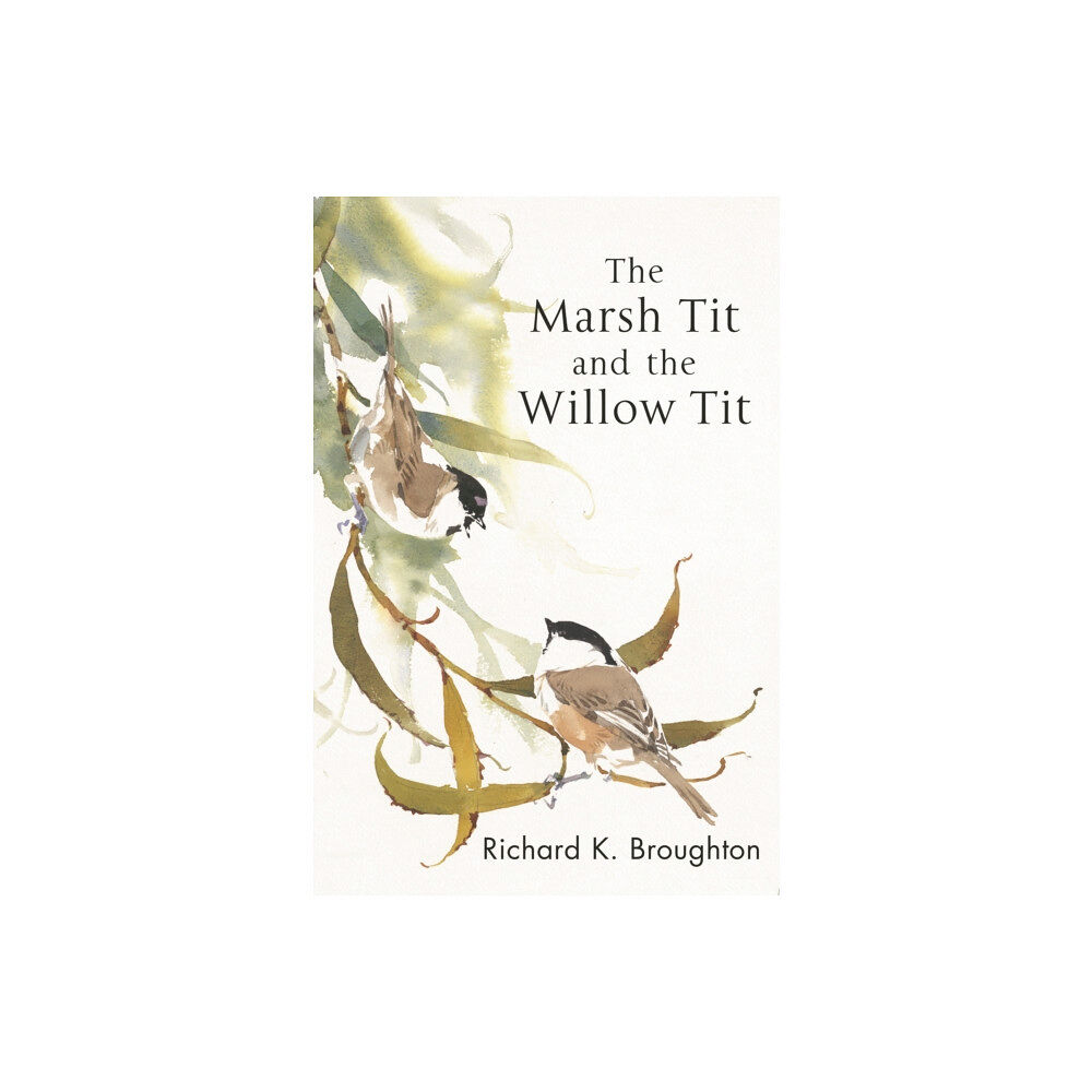 Bloomsbury Publishing PLC The Marsh Tit and The Willow Tit (häftad, eng)