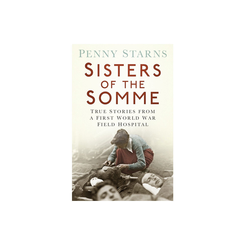 The History Press Ltd Sisters of the Somme (häftad, eng)