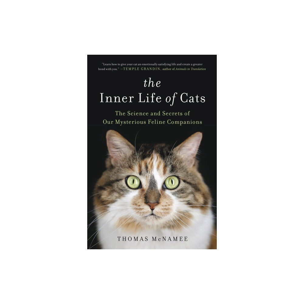 Little, Brown & Company The Inner Life of Cats (häftad, eng)