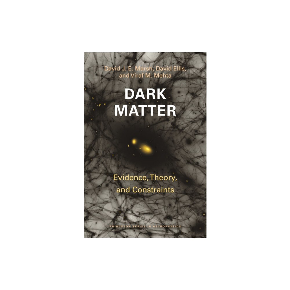 Princeton University Press Dark Matter (häftad, eng)