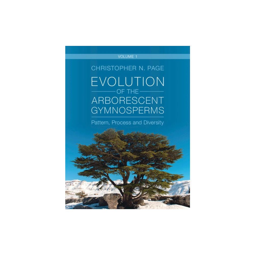 Cambridge University Press Evolution of the Arborescent Gymnosperms: Volume 1, Northern Hemisphere Focus (inbunden, eng)