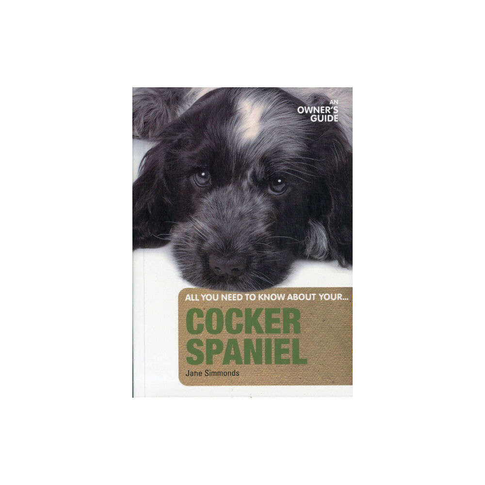 First Stone Publishing Cocker Spaniel (häftad, eng)