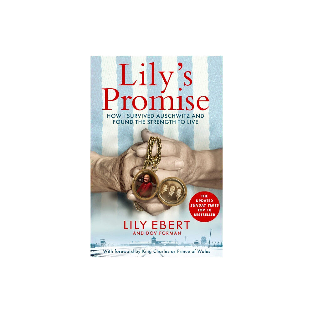 Pan Macmillan Lily's Promise (häftad, eng)