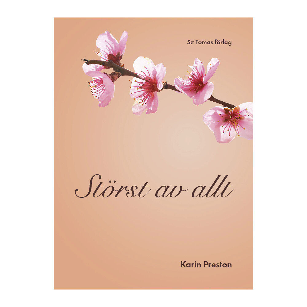 Karin Preston Störst av allt (häftad)