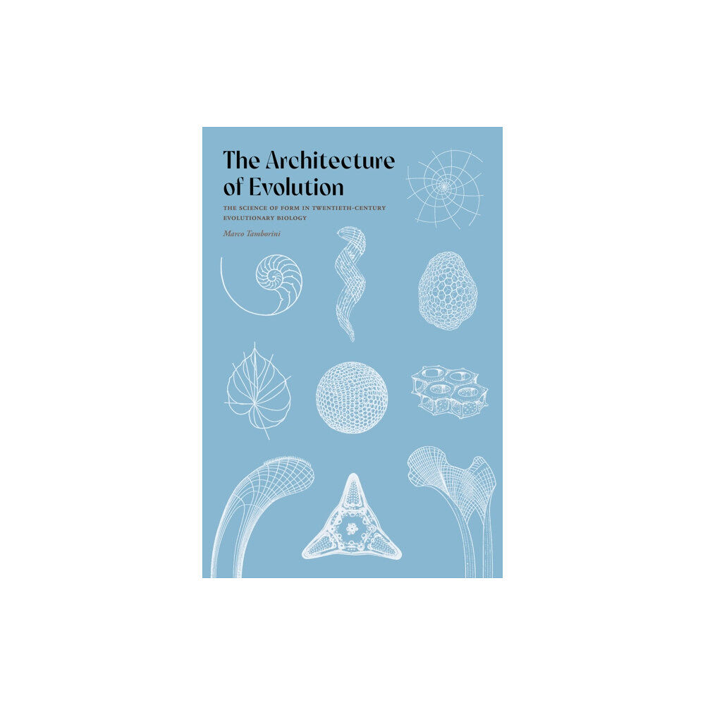 University of Pittsburgh Press The Architecture of Evolution (inbunden, eng)
