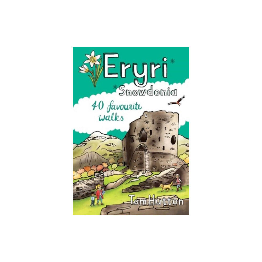 Pocket Mountains Ltd Eryri/Snowdonia (häftad, eng)