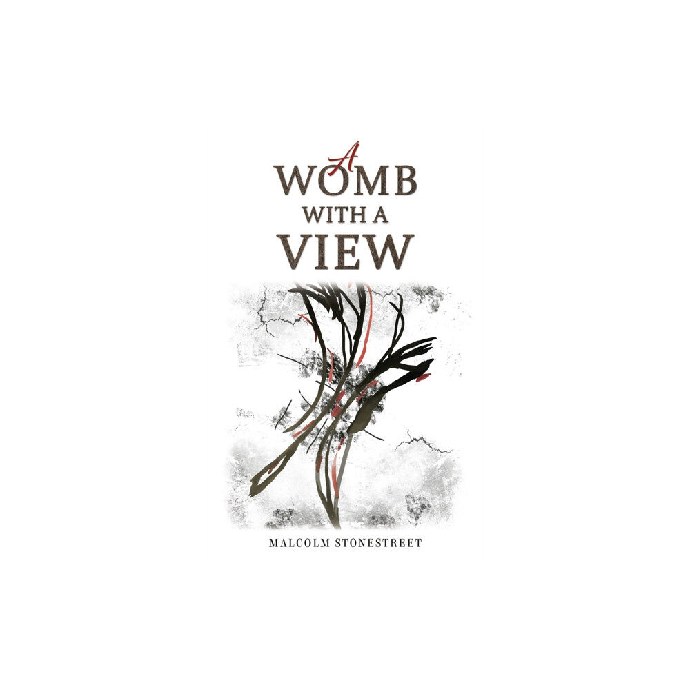 Austin Macauley Publishers A Womb With a View (häftad, eng)