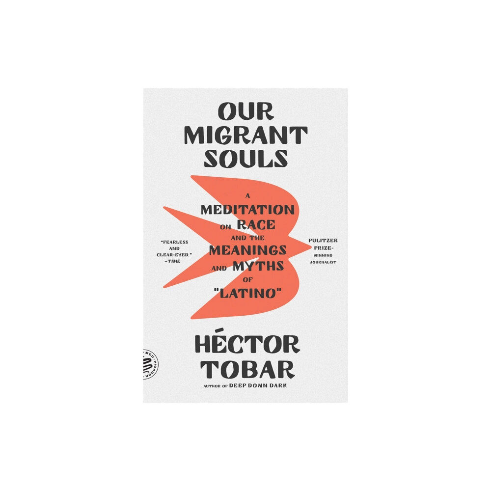 PICADOR Our Migrant Souls (häftad, eng)