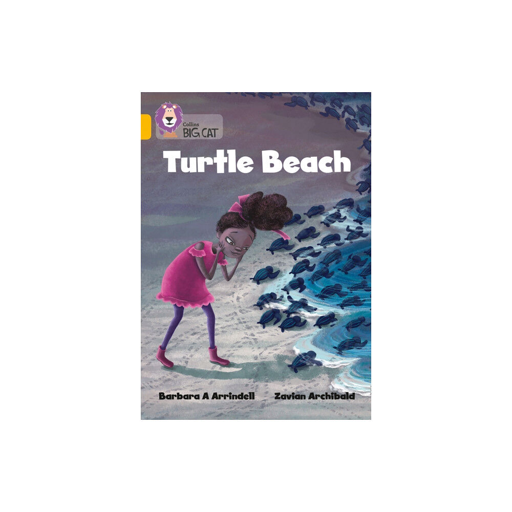 HarperCollins Publishers Turtle Beach (häftad, eng)