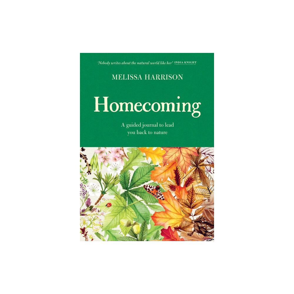 Orion Publishing Co Homecoming (inbunden, eng)