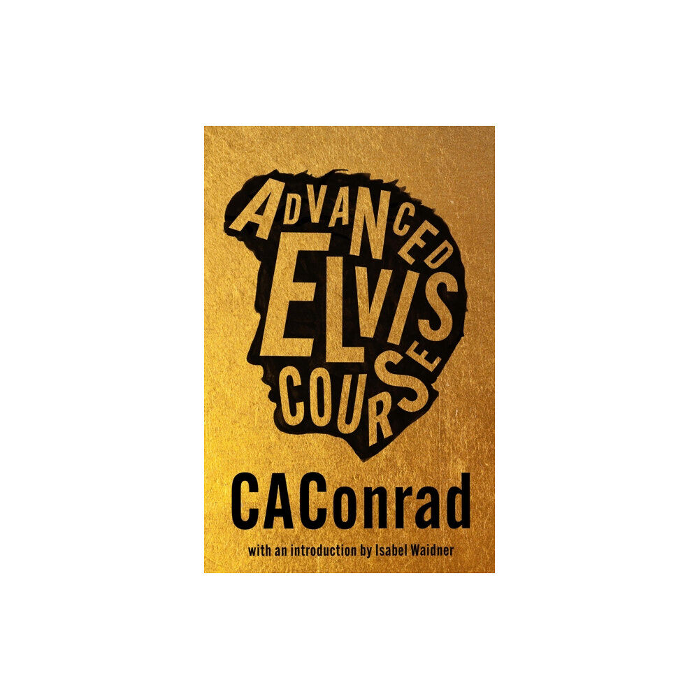 Peninsula Press Ltd Advanced Elvis Course (häftad, eng)