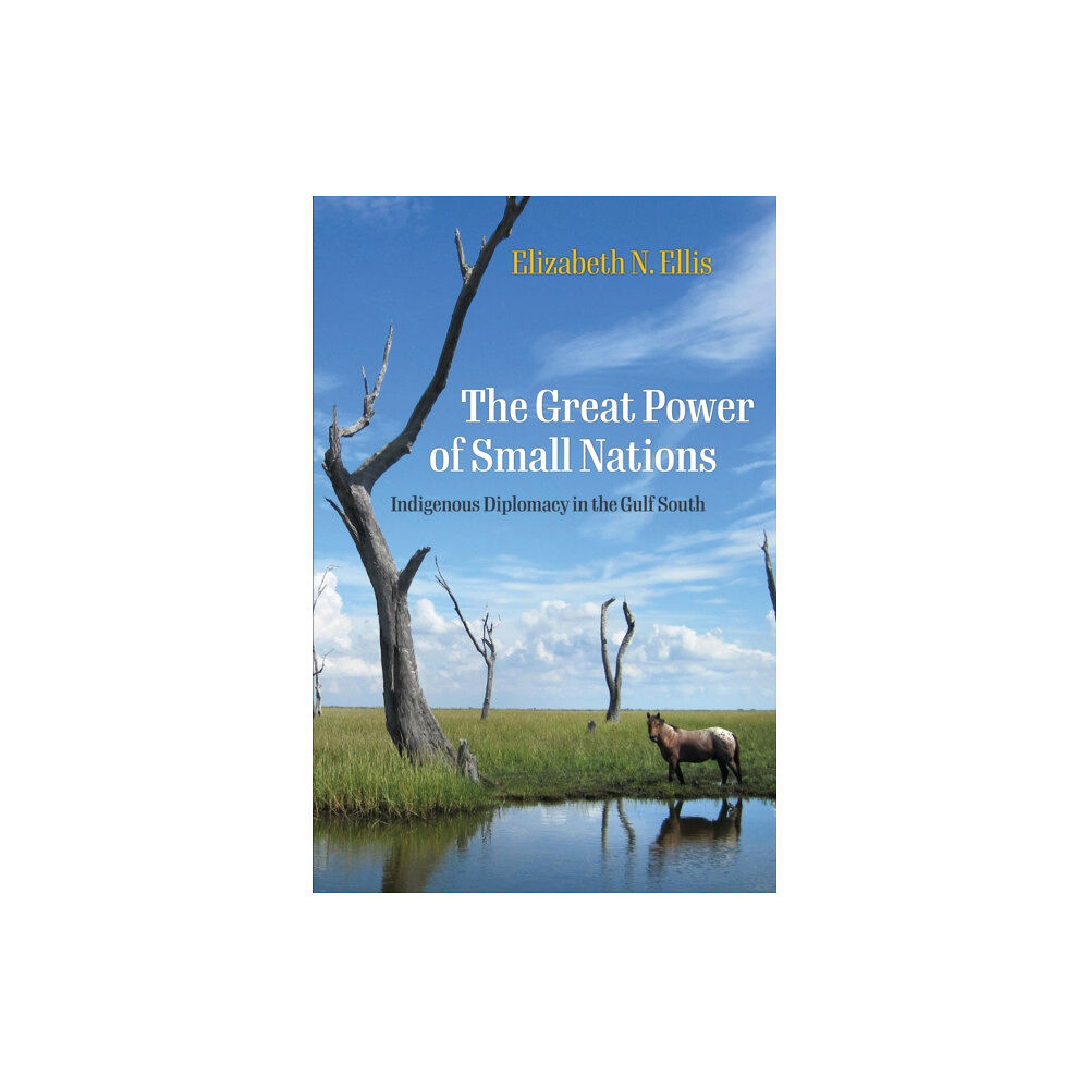 University of Pennsylvania Press The Great Power of Small Nations (häftad, eng)