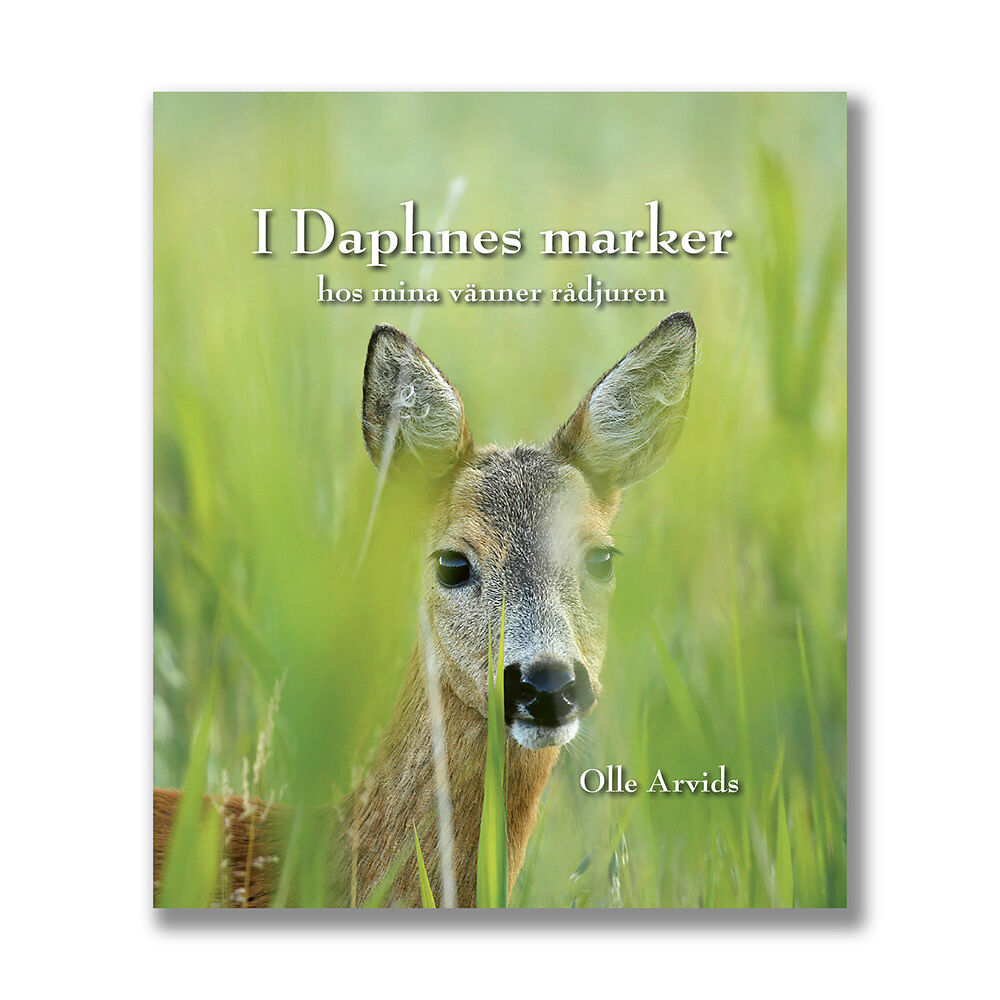 Olle Arvids I Daphnes marker - hos mina vänner rådjuren (inbunden)