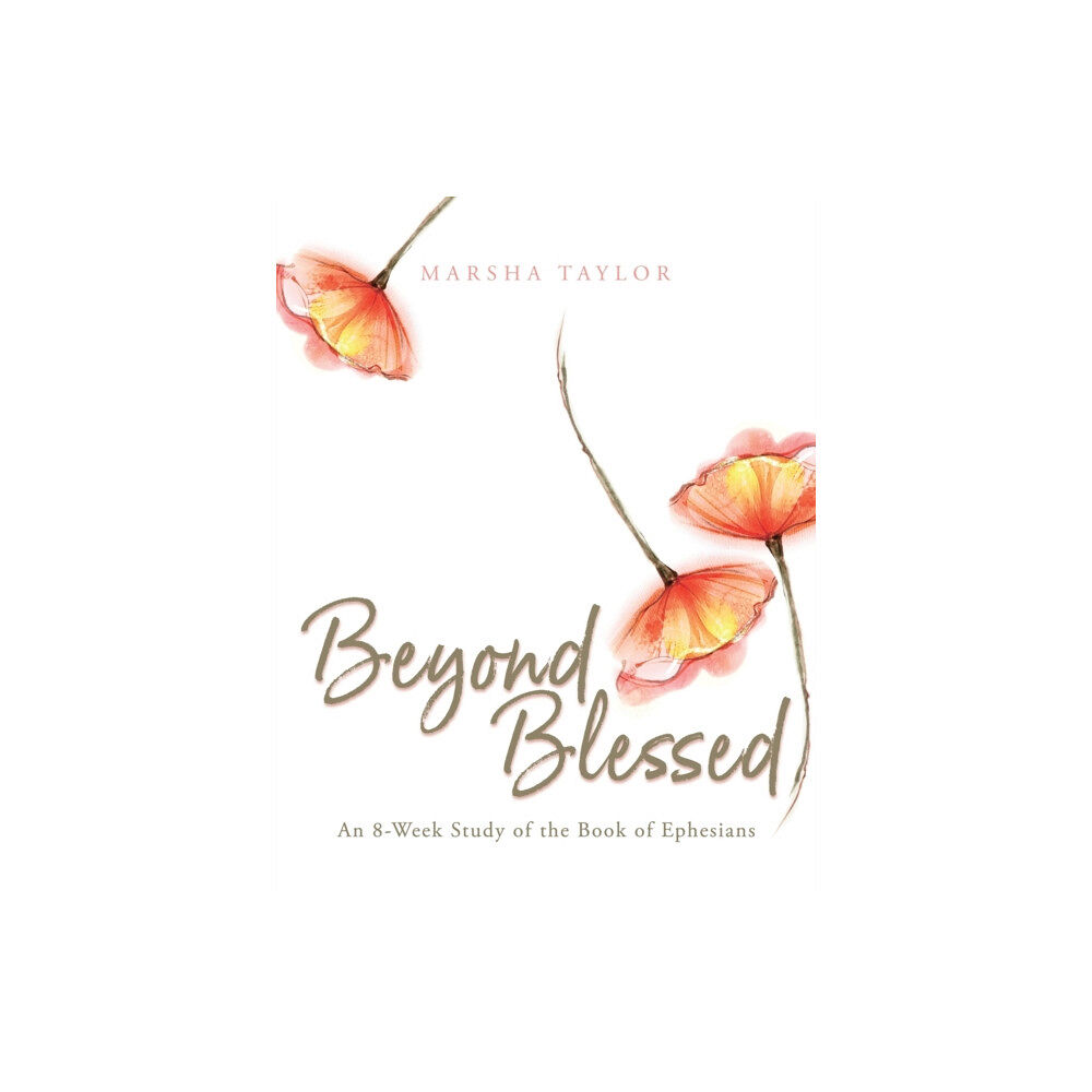 Lucid Books Beyond Blessed (häftad, eng)