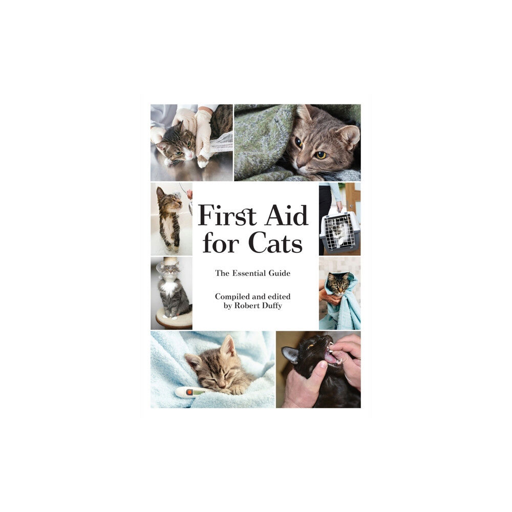 BX Plans Ltd First Aid For Cats (häftad, eng)