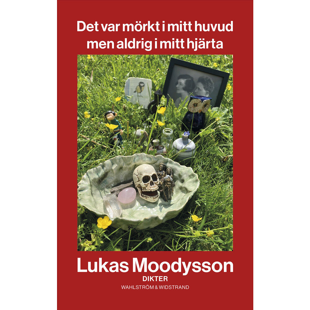 Lukas Moodysson Det var mörkt i mitt huvud men aldrig i mitt hjärta (bok, danskt band)