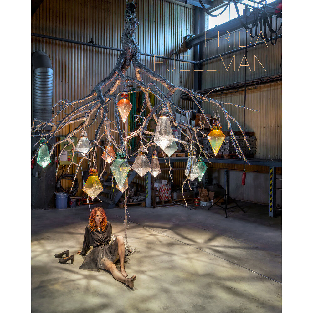 Arvinius+Orfeus Publishing Frida Fjellman (inbunden)