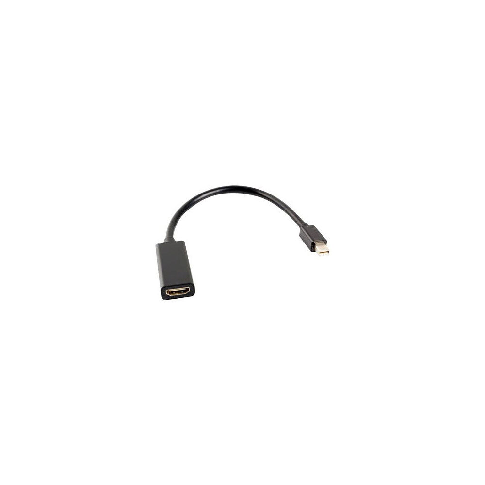 LANBERG Lanberg videokort - DisplayPort / HDMI - 20 cm