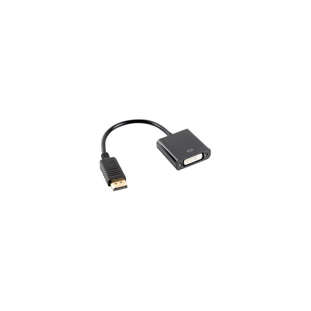 LANBERG Lanberg - videokort - DisplayPort till DVI-D - 10 cm