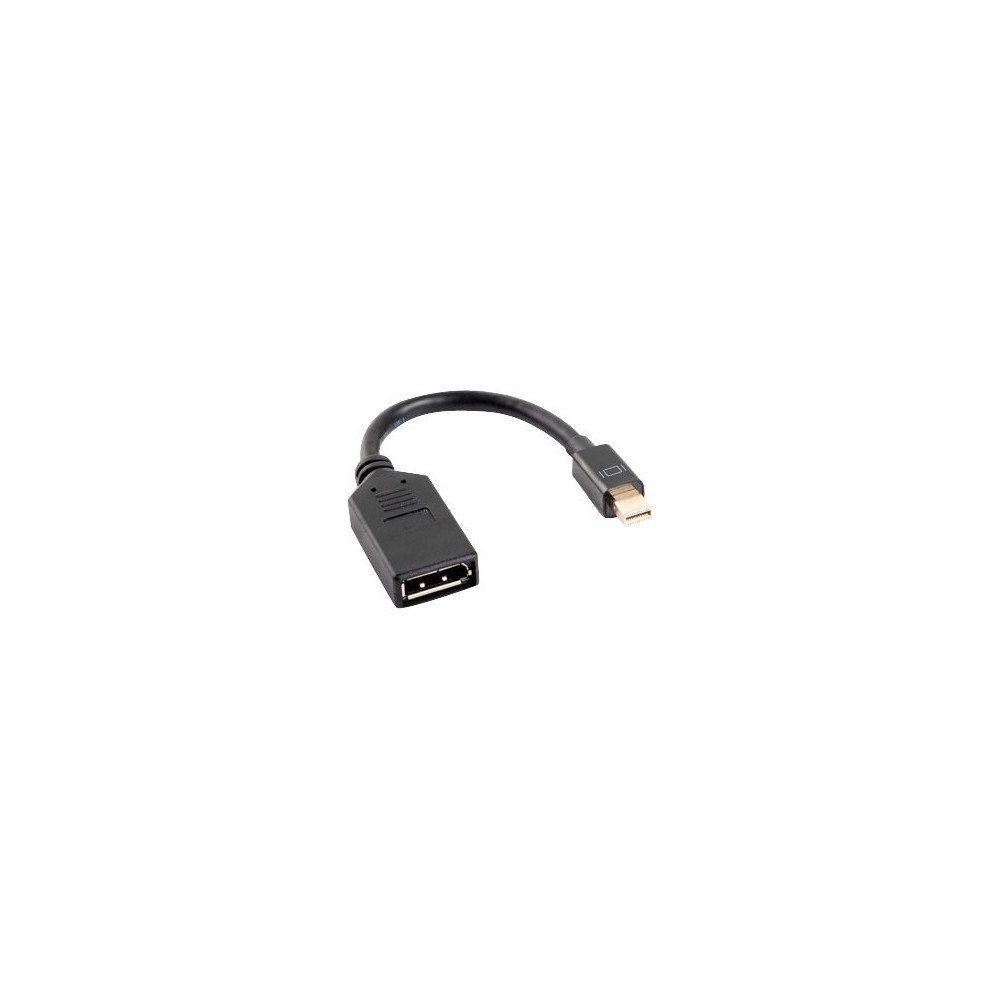 LANBERG Lanberg DisplayPort-adapter - 12 cm