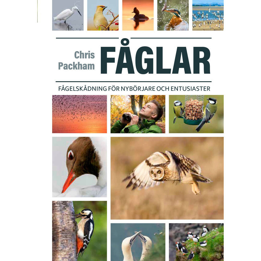 Chris Packham Fåglar : fågelskådning för nybörjare och entusiaster (inbunden)