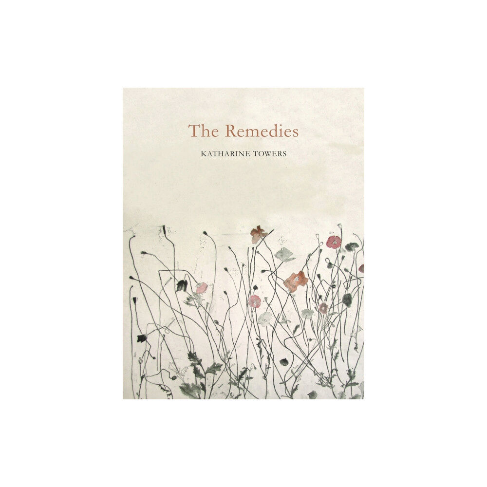 Pan Macmillan The Remedies (häftad, eng)