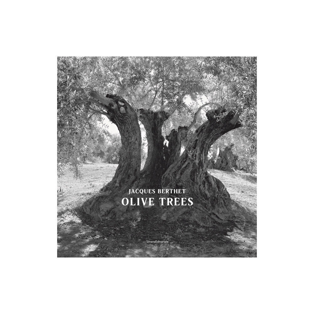 Silvana Olive Trees (häftad, eng)
