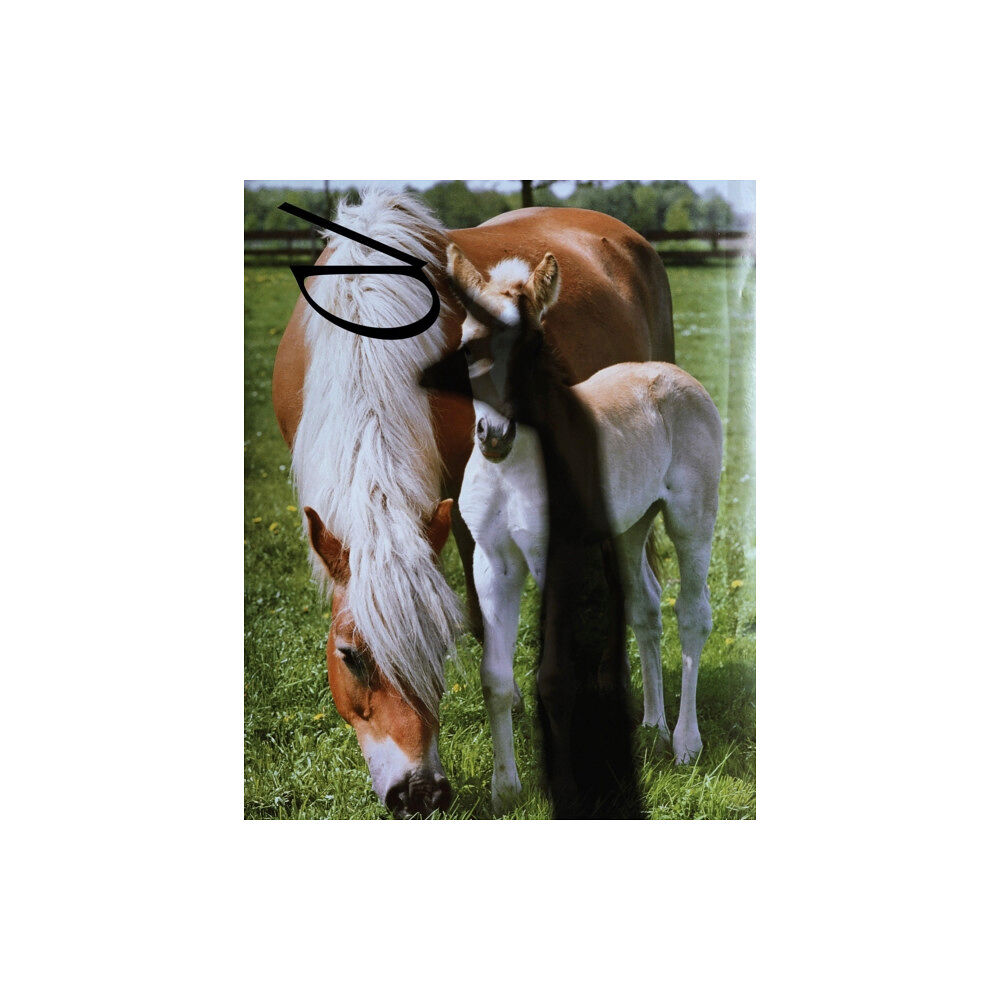 Julie Peeters BILL Issue 5 (häftad, eng)