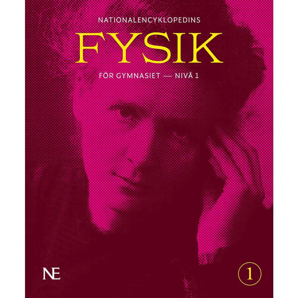 Roland Johansson NE Fysik för gymnasiet : nivå 1 (häftad)