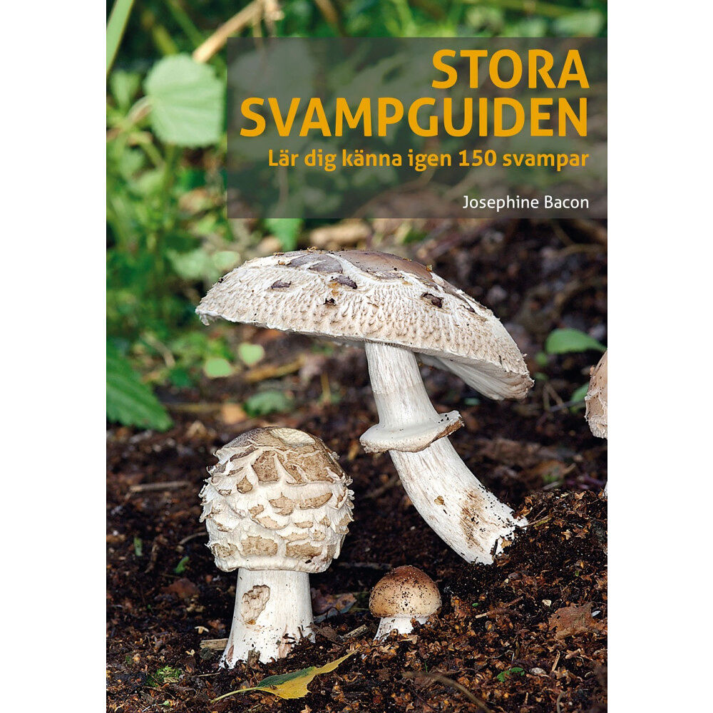 Josephine Bacon Stora svampguiden : Lär dig känna igen 150 svampar (häftad)
