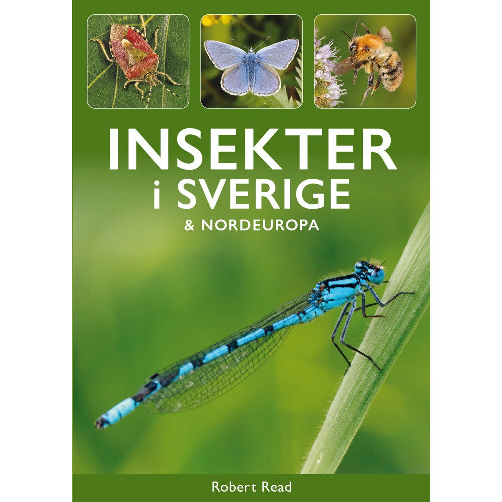 Tukan Förlag Insekter i Sverige och Nordeuropa (häftad)