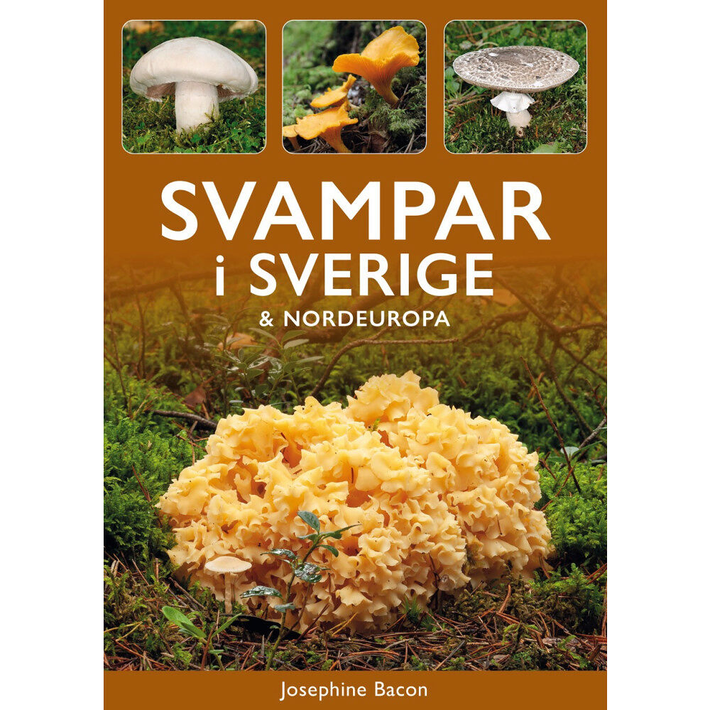 Tukan Förlag Svampar i Sverige och Nordeuropa (häftad)