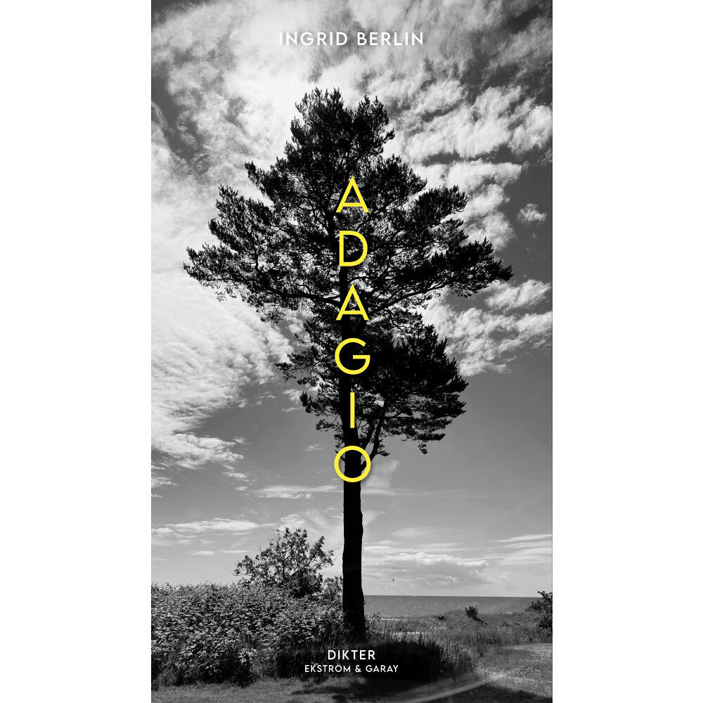Ingrid Berlin Adagio (inbunden)