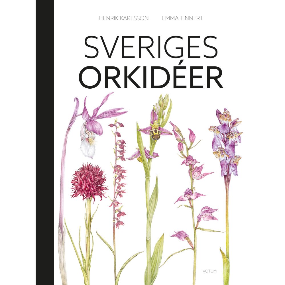 Votum Förlag Sveriges orkidéer (bok, halvklotband)