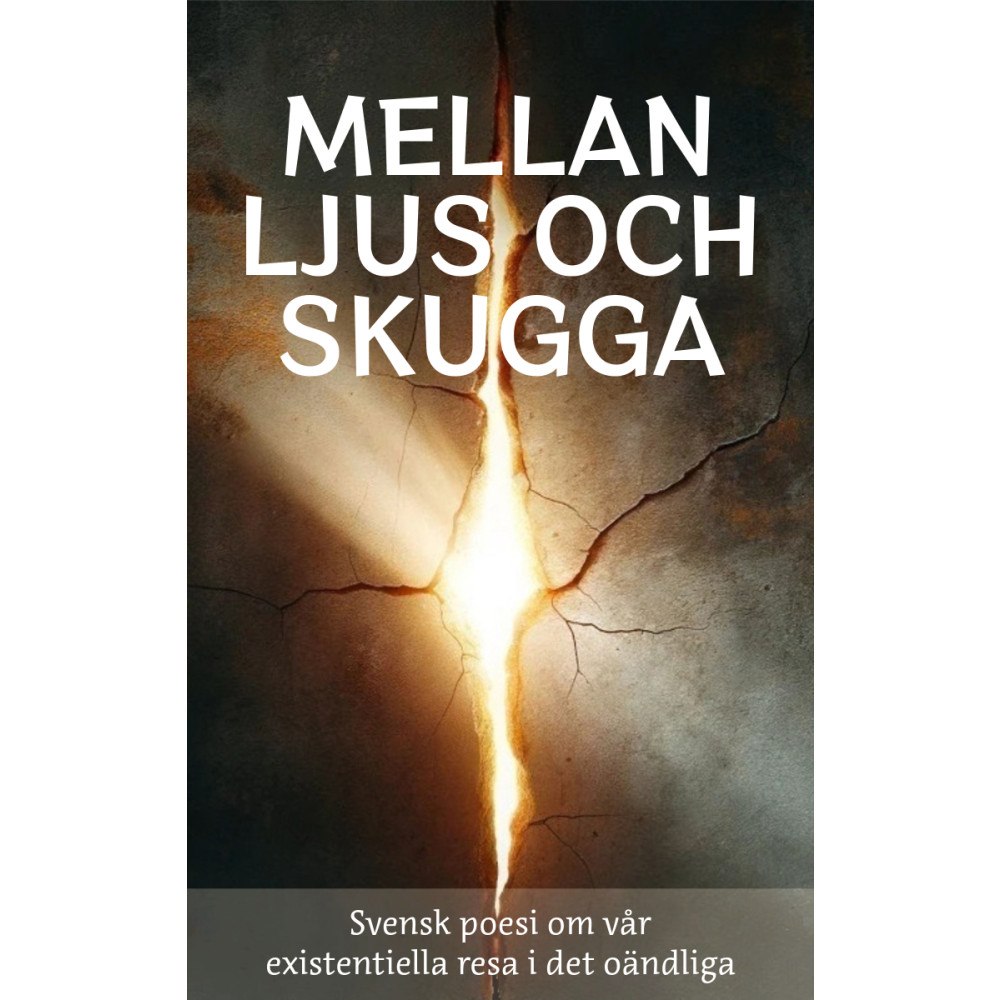Julia Appelskog Mellan ljus och skugga : svensk poesi om vår existentiella resa i det oändliga (inbunden)