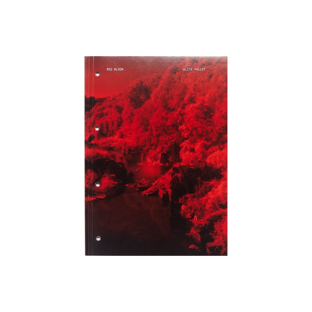 Aman iman Red Bloom (häftad, eng)