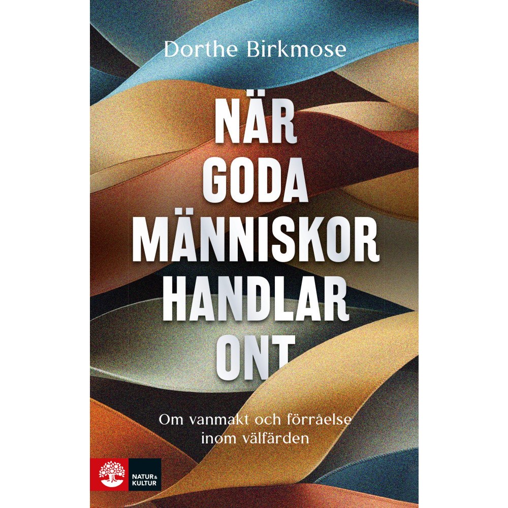 Dorthe Birkmose När goda människor handlar ont : om vanmakt och förråelse inom välfärden (inbunden)