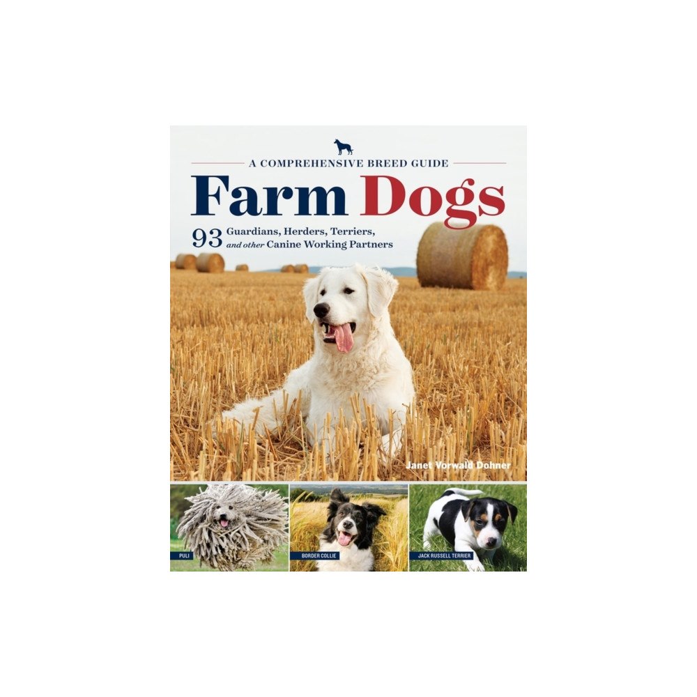 Workman Publishing Farm Dogs (häftad, eng)