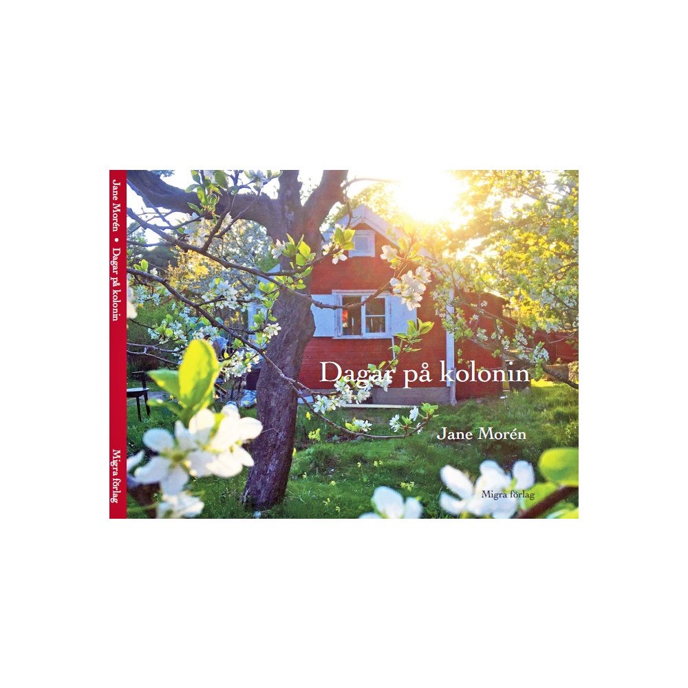 Jane Morén Dagar på kolonin (inbunden)