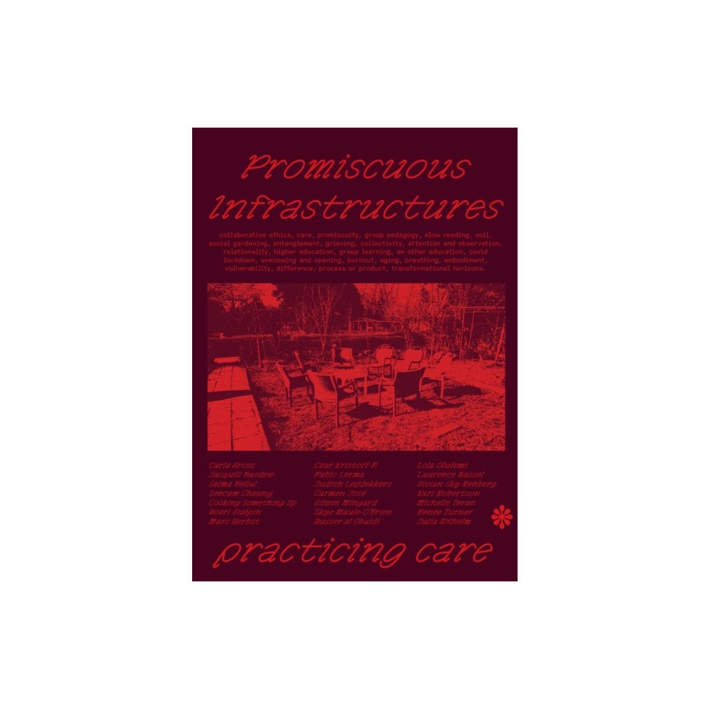 Meadow Vista Publishing Promiscuous Infrastructures: Practicing Care (häftad, eng)
