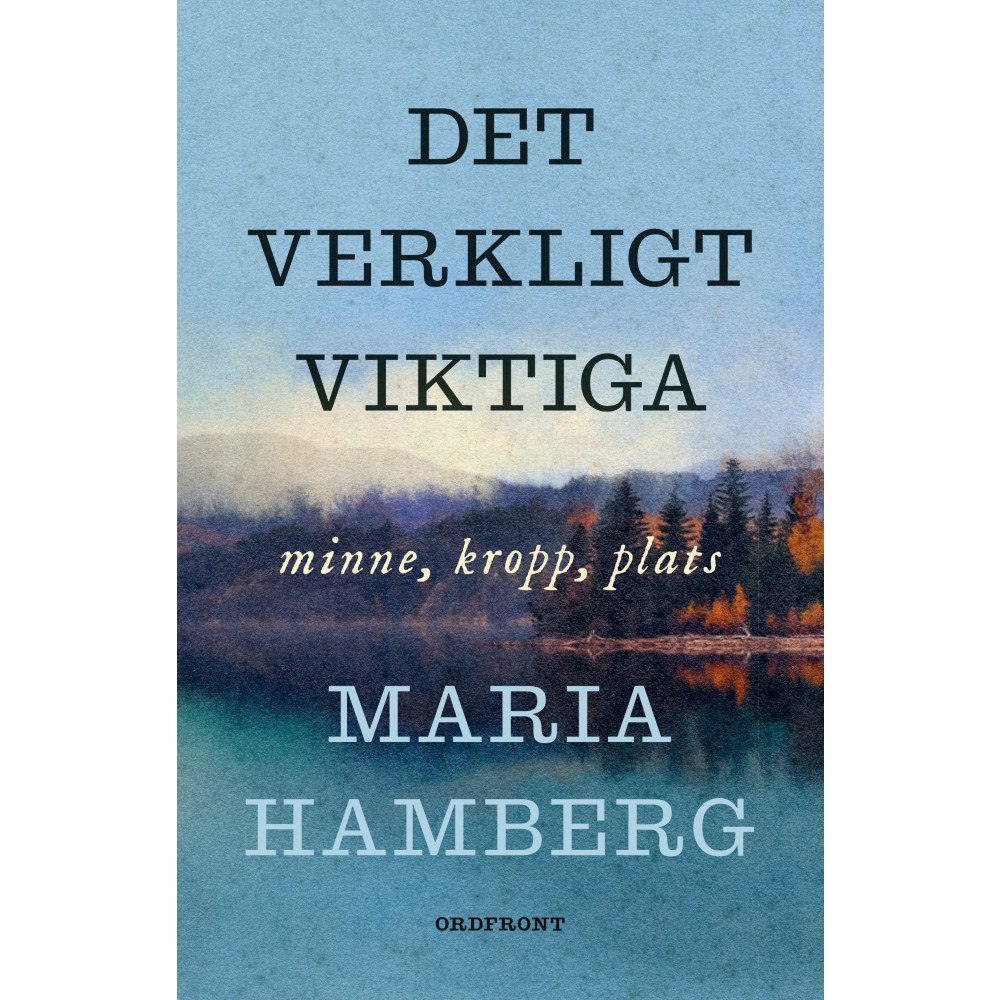 Maria Hamberg Det verkligt viktiga : minne, kropp, plats (inbunden)