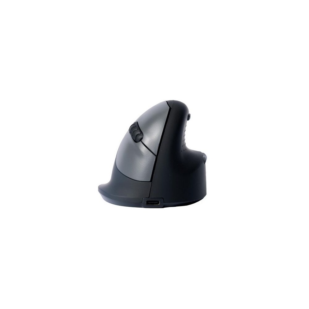 R-Go Tools Mus Ergonomisk R-GO Large Höger Trådlös