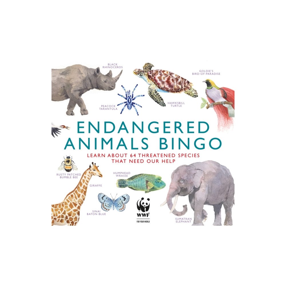 Orion Publishing Co Endangered Animals Bingo