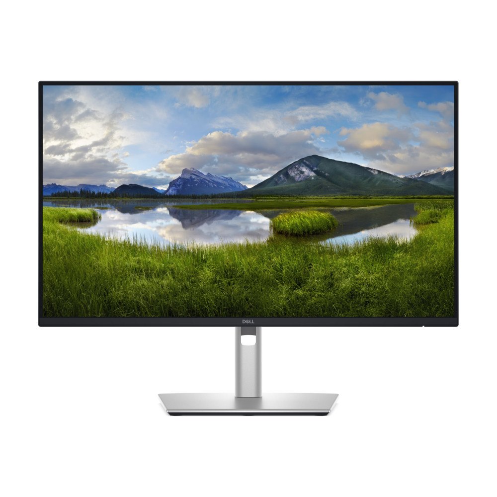DELL Dell Pro Plus P2425DE - LED-skärm - QHD - 24"