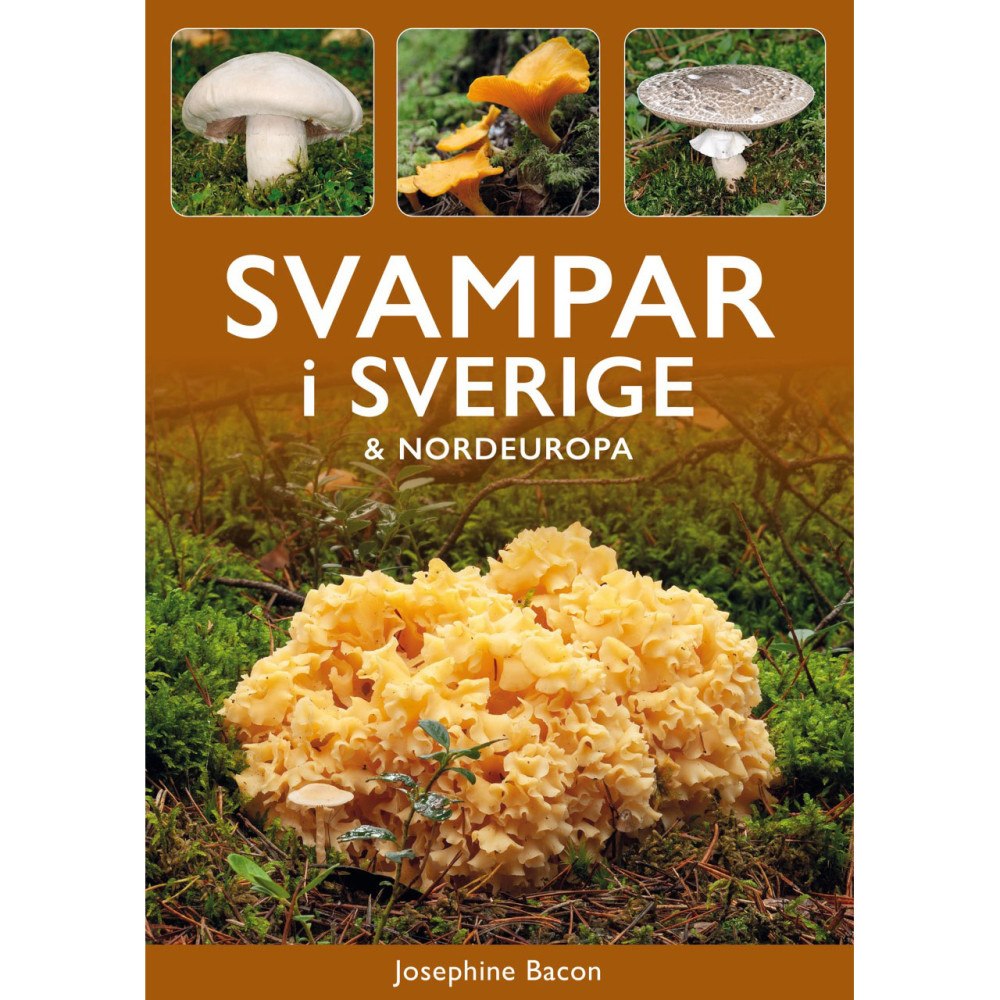 Tukan Förlag Svampar i Sverige & Nordeuropa