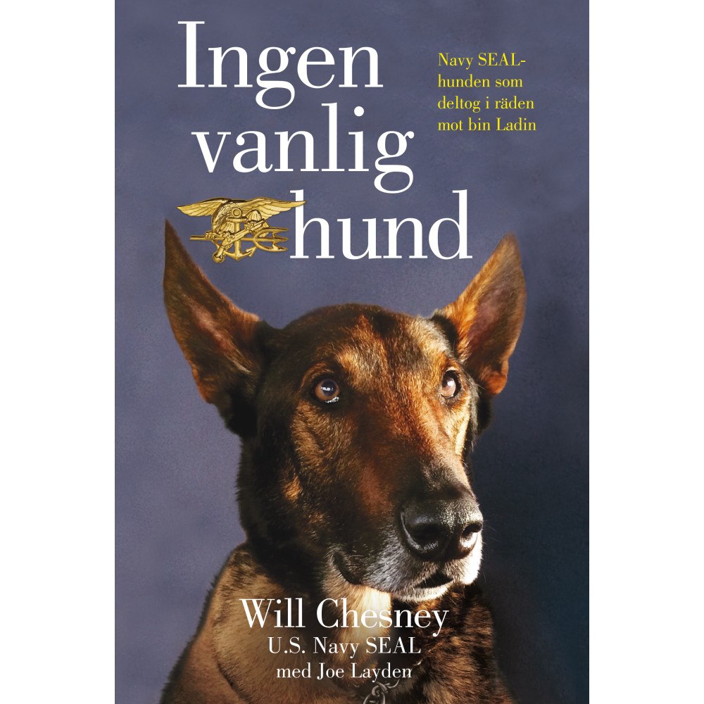 Bokförlaget NoNa Ingen vanlig hund (pocket)